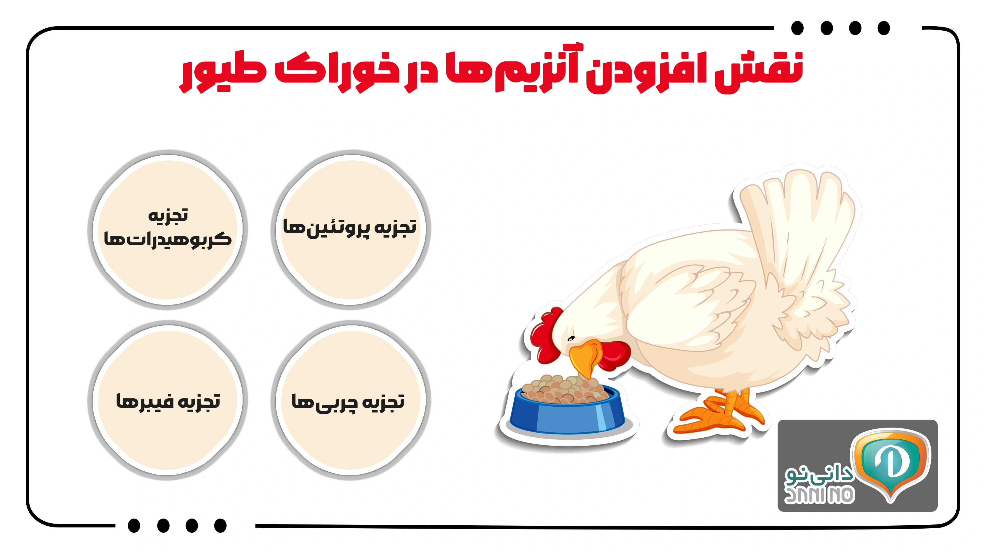 نقش افزودن آنزیم‌ها در خوراک طیور